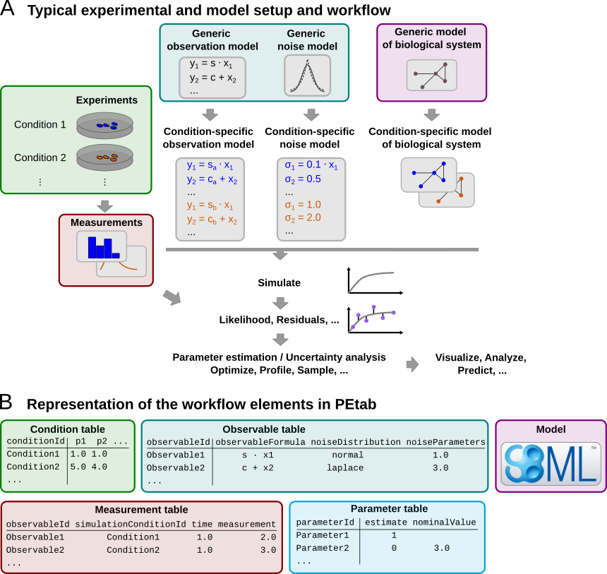 A common setup for data-based modeling studies and its representation in PEtab.