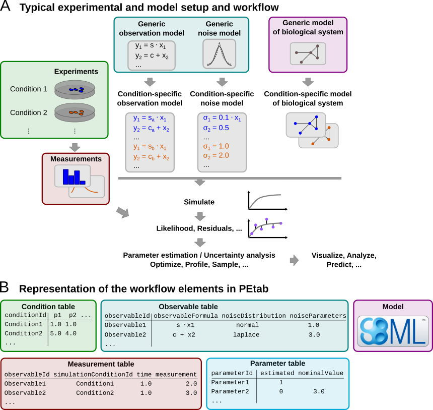 A common setup for data-based modeling studies and its representation in PEtab.